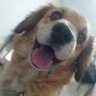 Felipe 🇨🇴 profil fotoğrafı