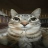 スクランブル卵 profil fotoğrafı