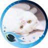 Profilbild von しおり ྀི