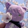 ナラ天@モンドが故郷's profile picture