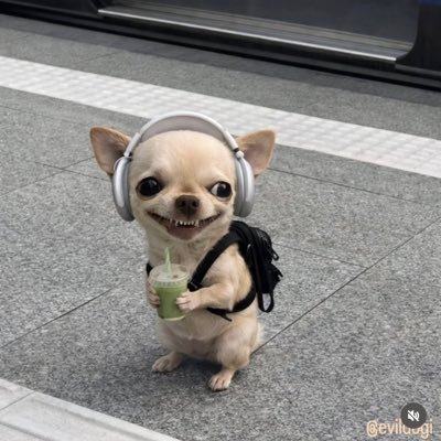 mos_step6510's profile picture