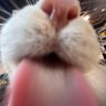 Profilbild von 🤍🖤❤️ PresSure--Angelino11 ❤️🖤🤍