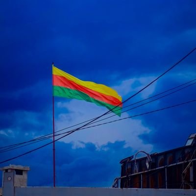 Özgür's profile picture
