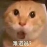 Profilbild von PKrypto💎(哈基米版)
