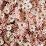 Фото профиля bloom and shine🌸✨