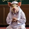 porkistan 的头像