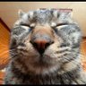 DoitAll9 profil fotoğrafı