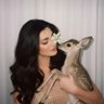 رمش الغلا's profile picture