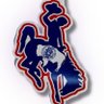 WYOMING PATRIOT's profile picture