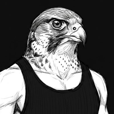 Falcon0nX's profile picture