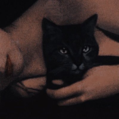 Mocha's profile picture