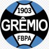 Soy de Grêmio 🇪🇪🇨🇬🧉's profile picture