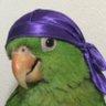 Profilbild von Anxie-tea 🍵