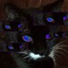 麻麻木之神 profil fotoğrafı