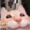 Profilbild von Rafa.eu