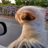 EBers's profile picture