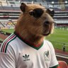 Don Capibara profil fotoğrafı