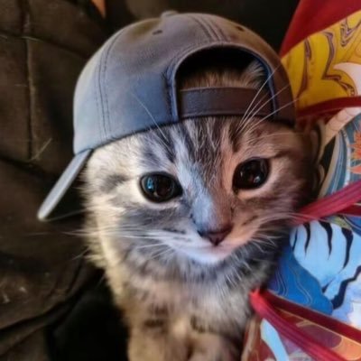 num (TAT)'s profile picture