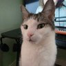 Hackroots02's profile picture