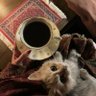 ح's profile picture