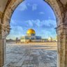 PalSam🇵🇸's profile picture