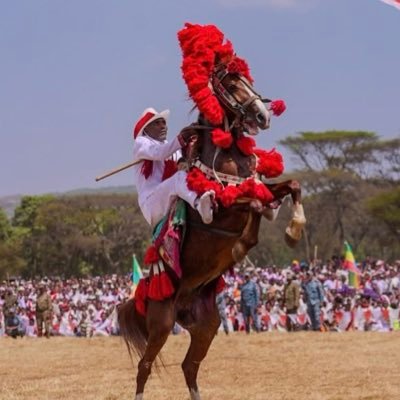 IKalimelese's profile picture