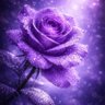 💜紫💜's profile picture