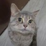 gottabesilly profil fotoğrafı