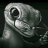 Hd profil fotoğrafı
