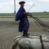 Magister Ludi's profile picture