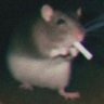 Randone 的头像