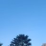 dodo profil fotoğrafı