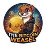 Profilbild von Bitcoin Weasel