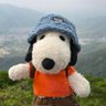Yun profil fotoğrafı