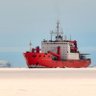 Shell 子皮 profil fotoğrafı