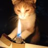 Kain's profile picture