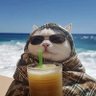 Profilbild von chelsea