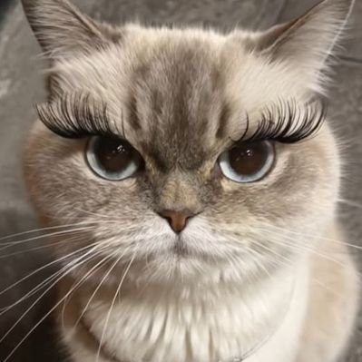 ela's profile picture