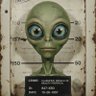 Saadat profil fotoğrafı