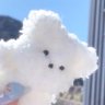 Profilbild von みうた ໒꒱