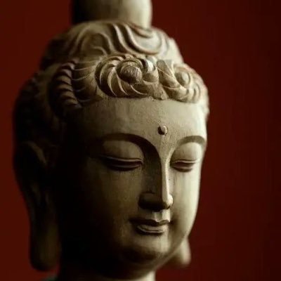 醉菩提命理法师（开课）'s profile picture