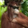 Seagraves's profile picture