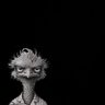 Paul Greene's profile picture