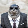 Фото профиля The Skeptical Seal