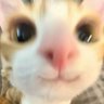 Arcane profil fotoğrafı