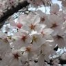 Фото профиля ヒロミン