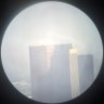REDACTED's profile picture