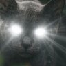 Sev Q's profile picture