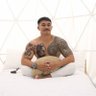 Tinho Creator's profile picture