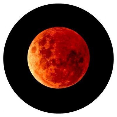 tekbaşına7321's profile picture